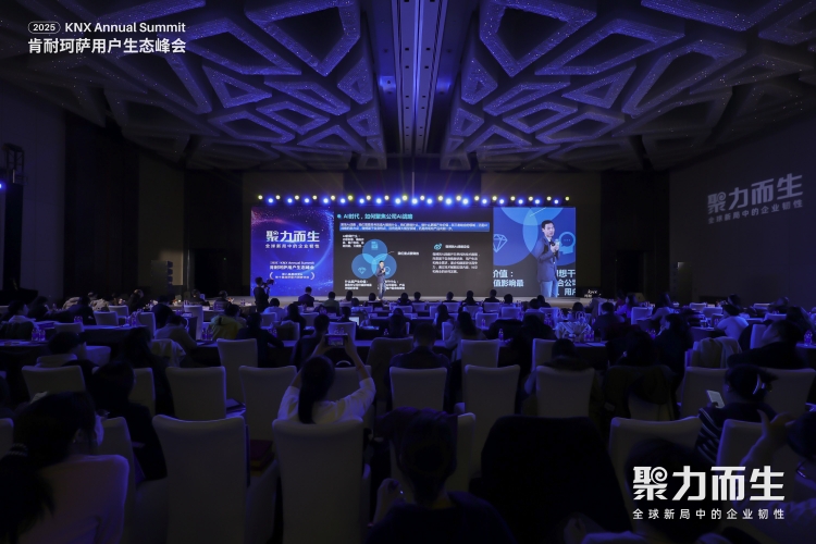 1764931759818058.jpg 图片2_副本.jpg