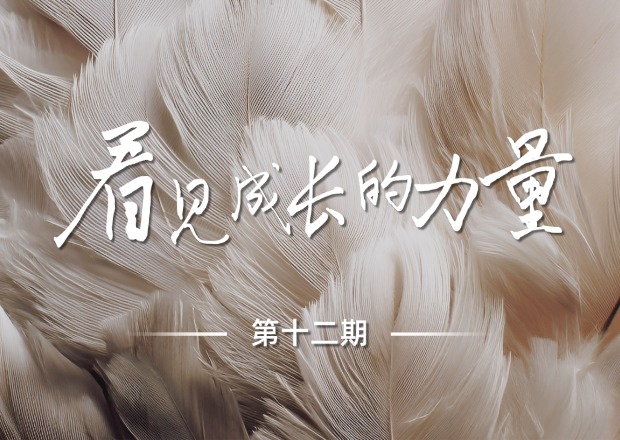 官网封面.jpg